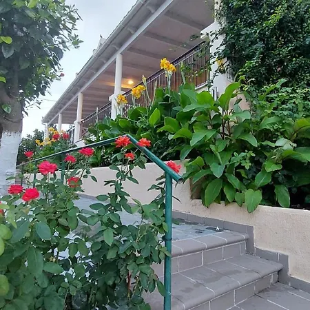 Appartement Anna *
